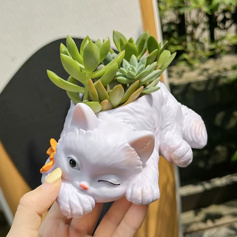 Pot de fleurs succulentes chat mignon