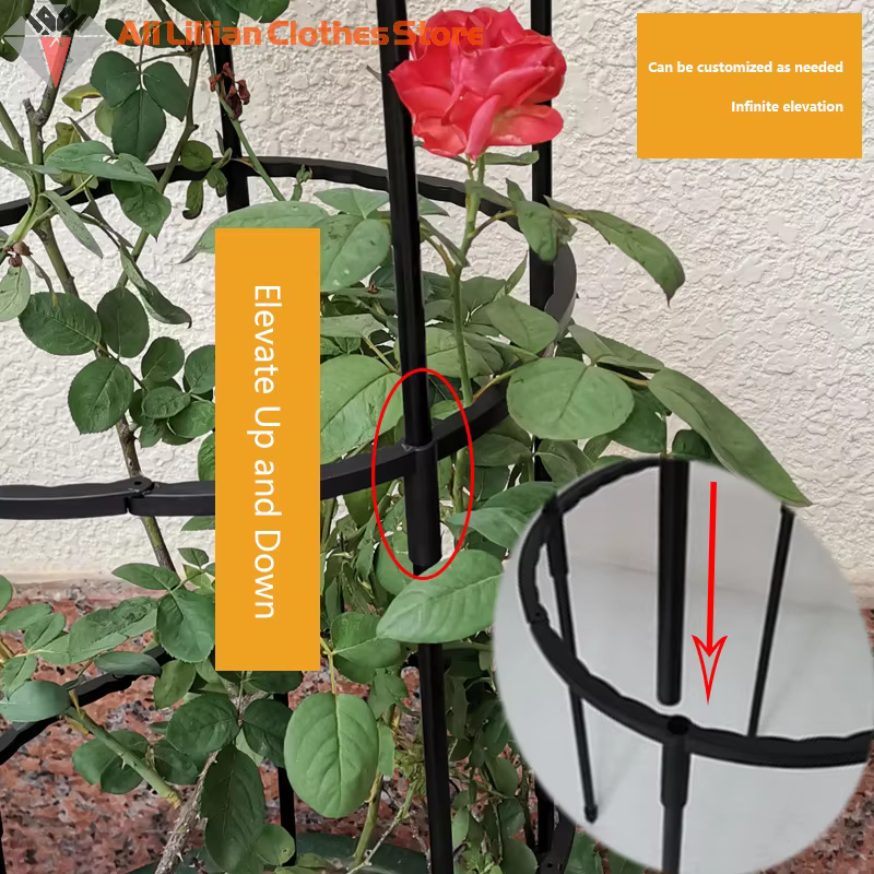 Cages de Support pour Plantes Grimpantes