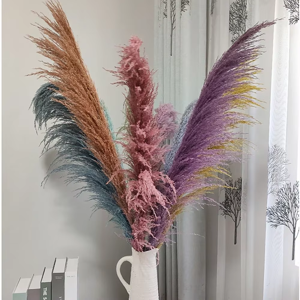 Grande herbe de Pampas naturelle de 80cm