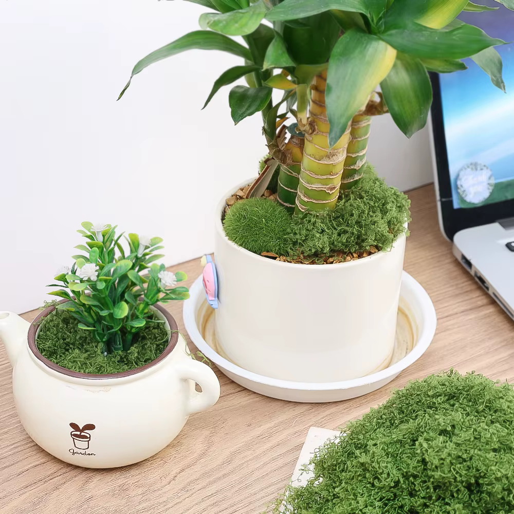 Plantes vertes artificielles 500/30G