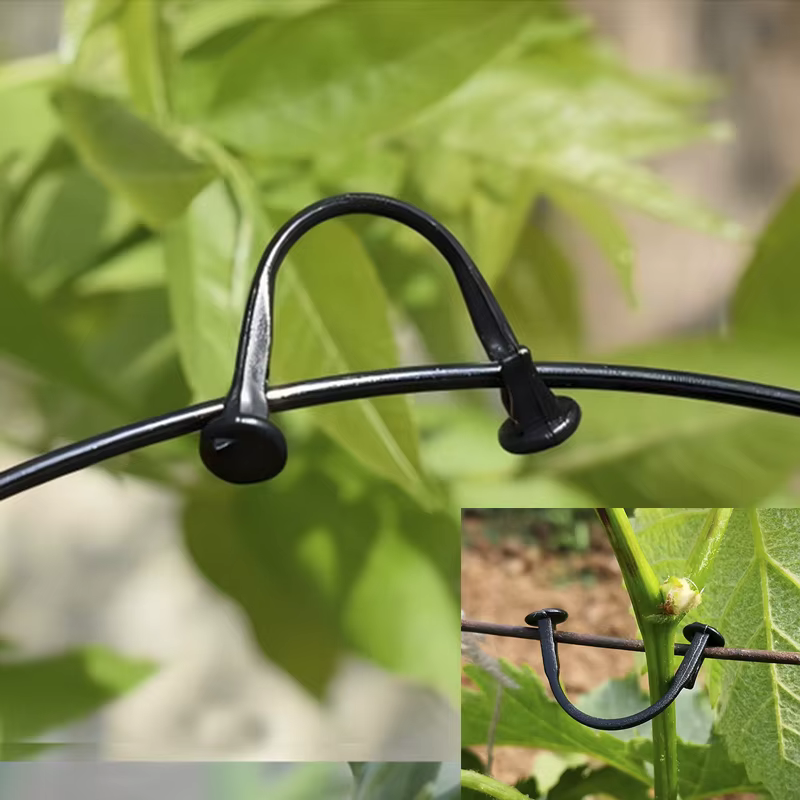 Clips de support pour plantes - Clips pour tomates