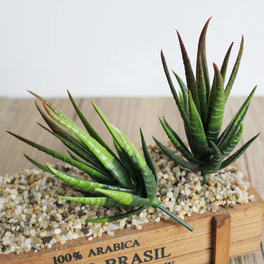 Wusmart Ban Ma Lu Hui plantes succulentes artificielles bricolage accessoires d'arrangement floral bureau Mini bonsaï tête de fleur