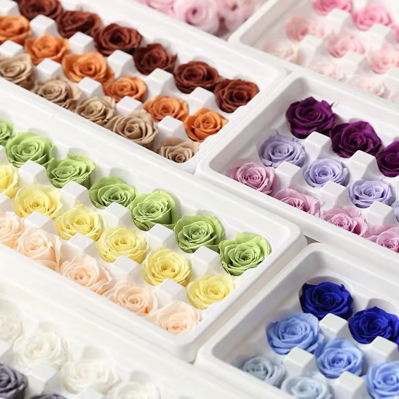 Mini Roses séchées réelles conservées