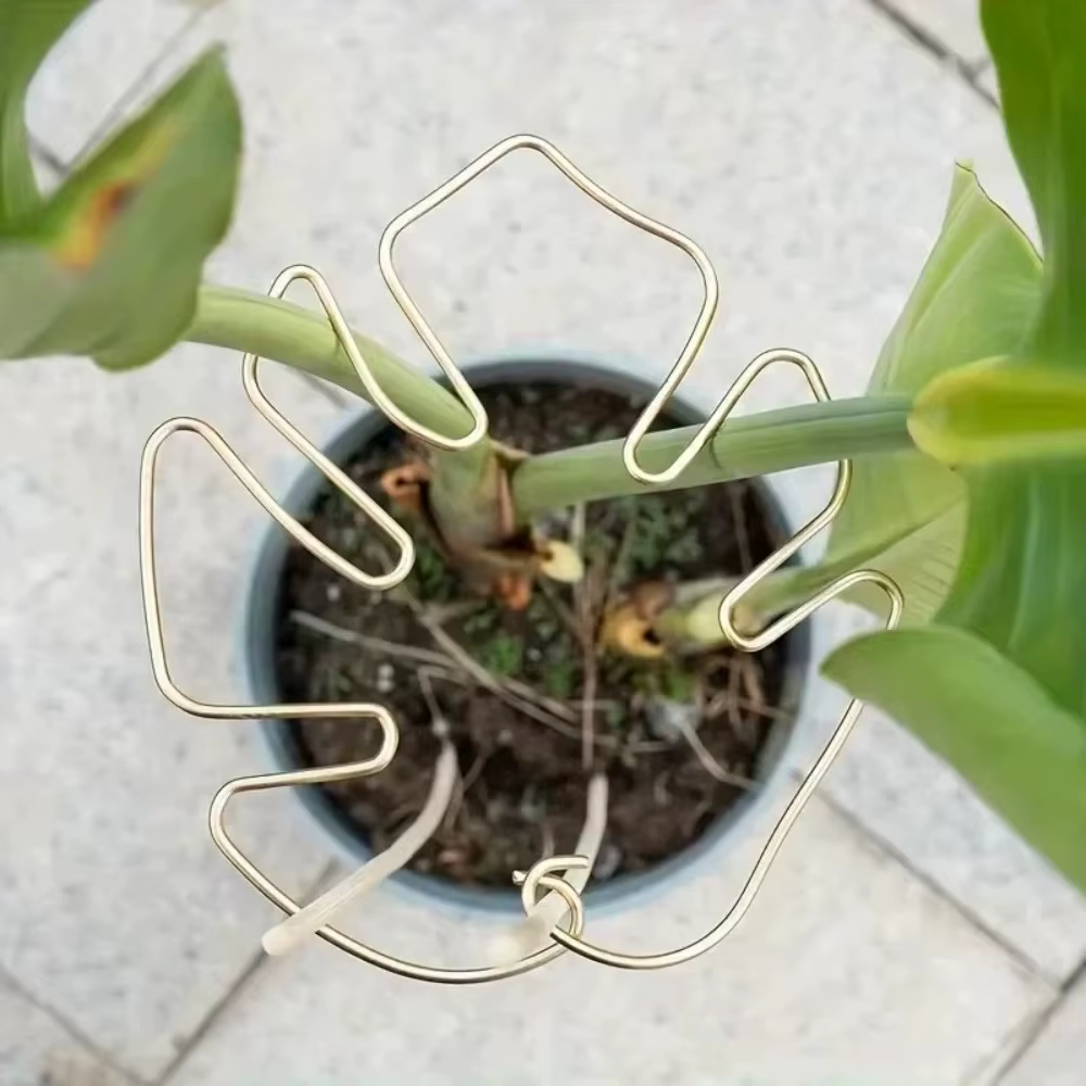 2 supports suspendus fixes en fer pour plantes