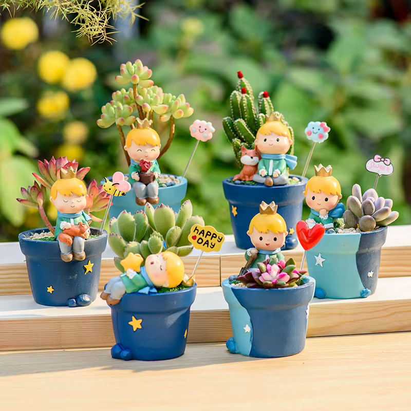 Jardinière Prince Kid pour plantes succulentes Cactus
