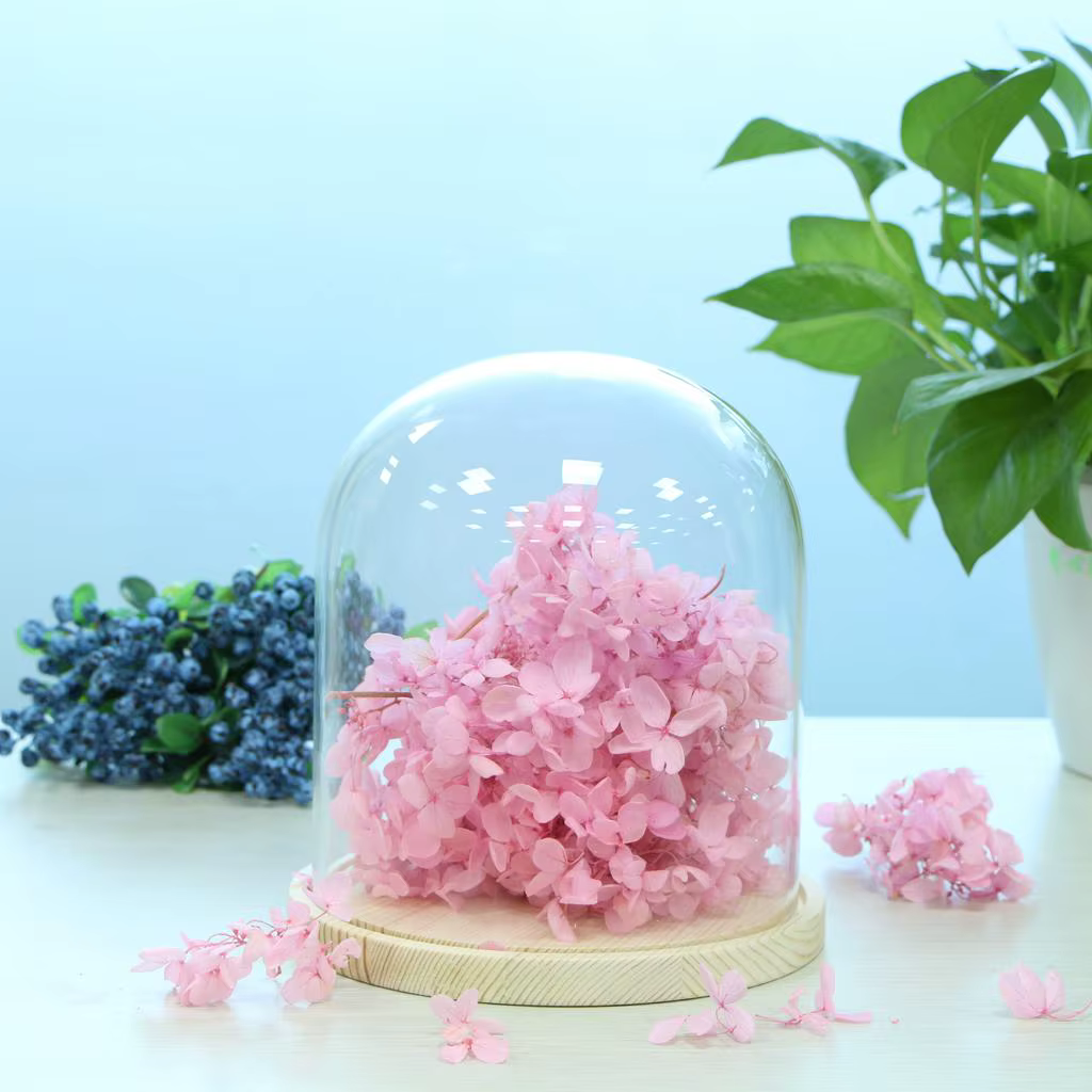 Pot en verre dôme avec Base en bois