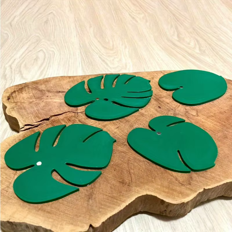 Monstera dessous de verre plante tortue bambou