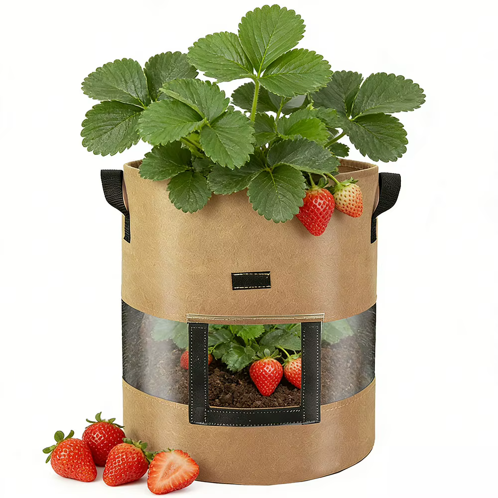 Sac de culture en tissu pour pommes de terre avec fenêtre panoramique à 360 degrés