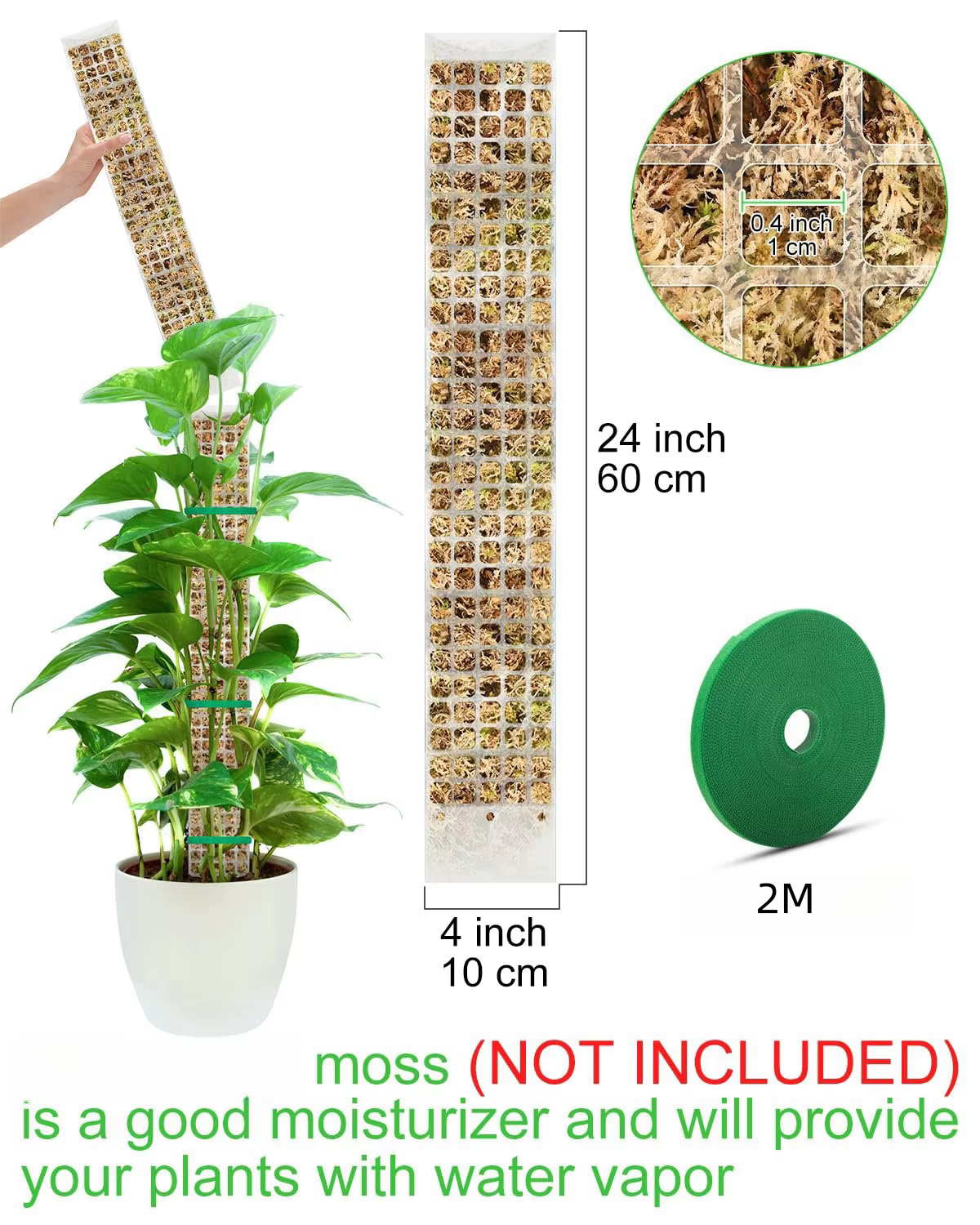 Plantes mousse pôle jardin sujet fleur plante grimpeurs bonsaï accessoires Pots Tutors