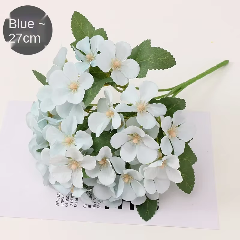 Bégonia fleur fleur sèche gaufrage plante spécimen fleurs séchées gaufrage botanique spécimen bricolage manuel décoration pétale bougies
