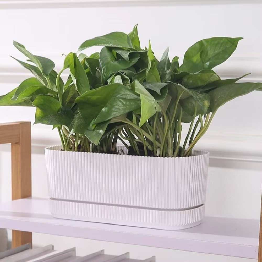 Pot de fleurs auto-arrosant à double couche avec trou de drainage