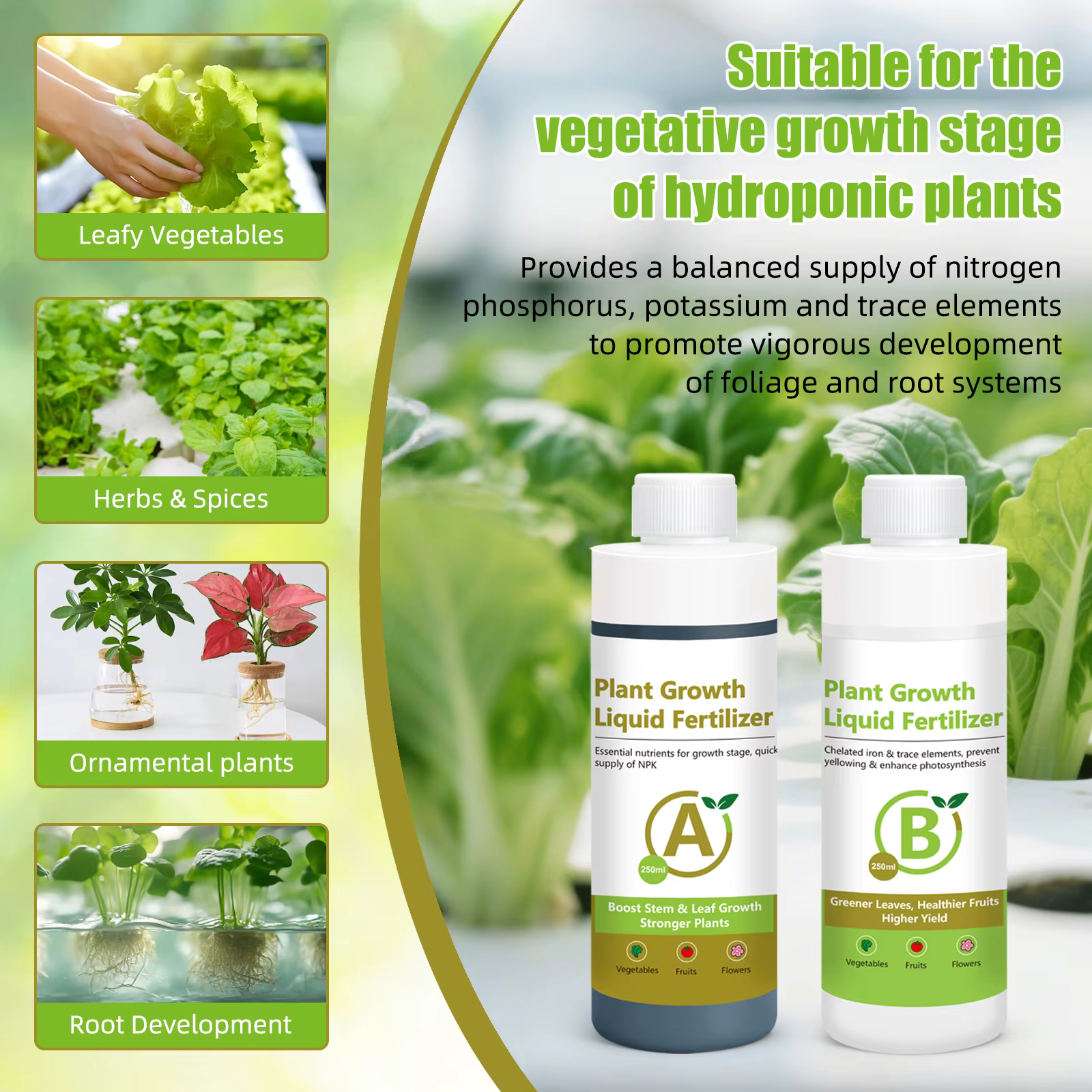 Solution nutritive hydroponique A B