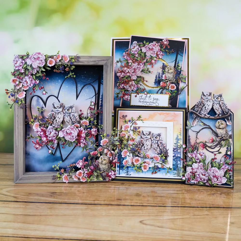 Joyeux anniversaire baies fleurs perchoir parfait plumes culbutant