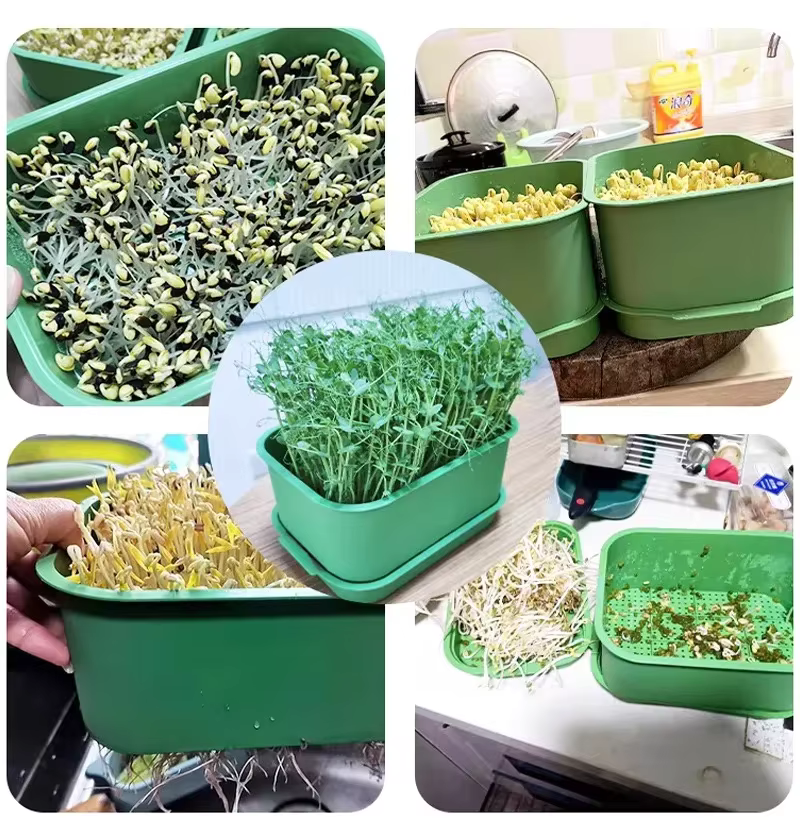 Pot de plantation en plastique pour germination domestique
