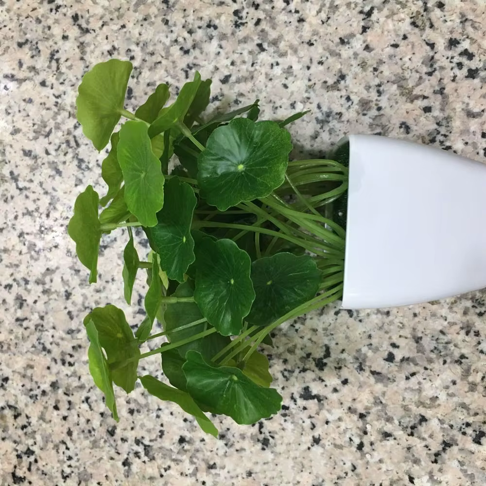 Plante verte 9 têtes Feuille de lotus artificielle Petite
