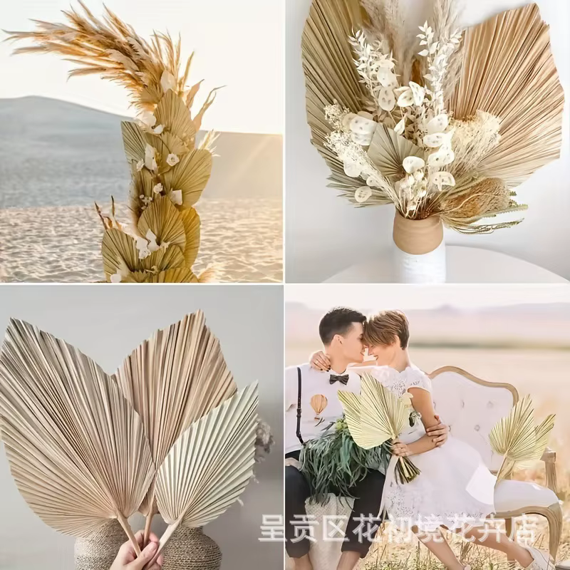 3 feuilles de palmier séchées naturelles