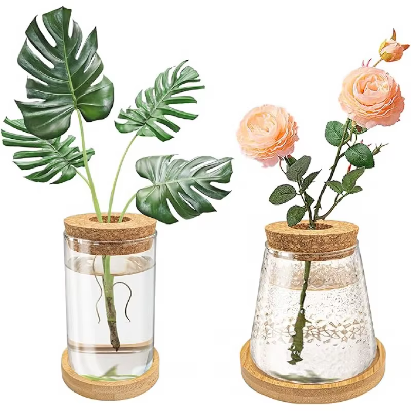 Station de culture de plantes
