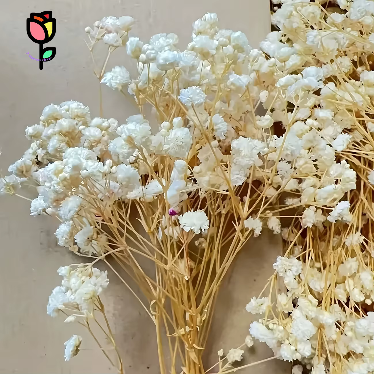 Bouquet de fleurs sèches