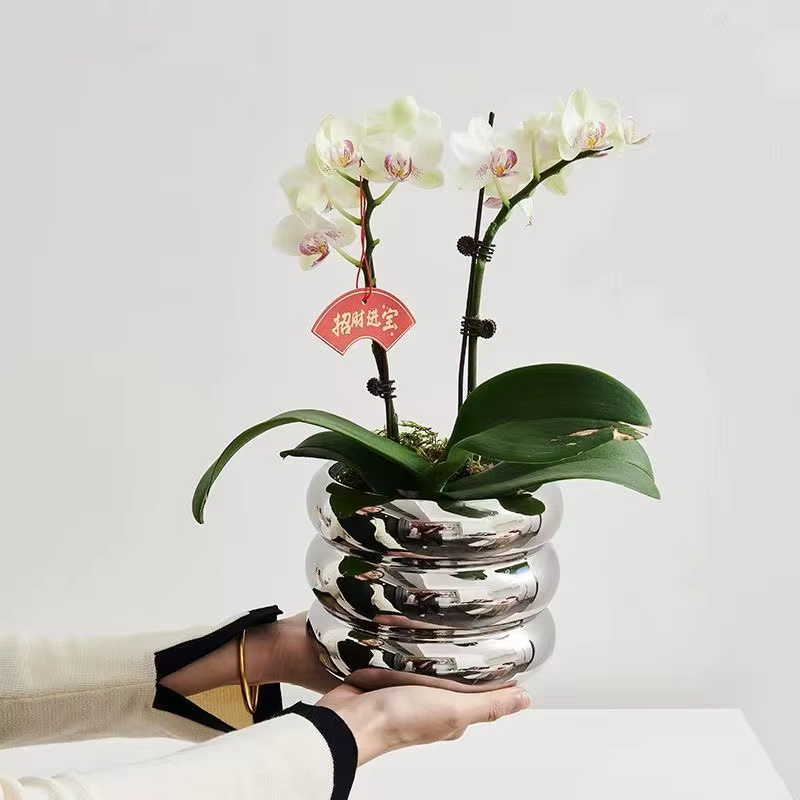 Pot de fleurs en céramique pour bureau