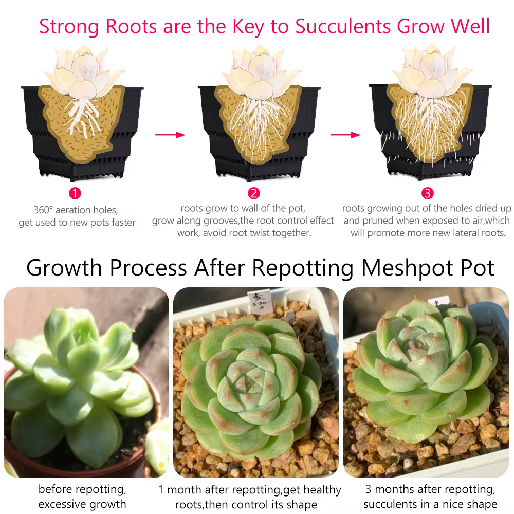 Meshpot-Pot carré pour plantes succulentes avec trous d'air