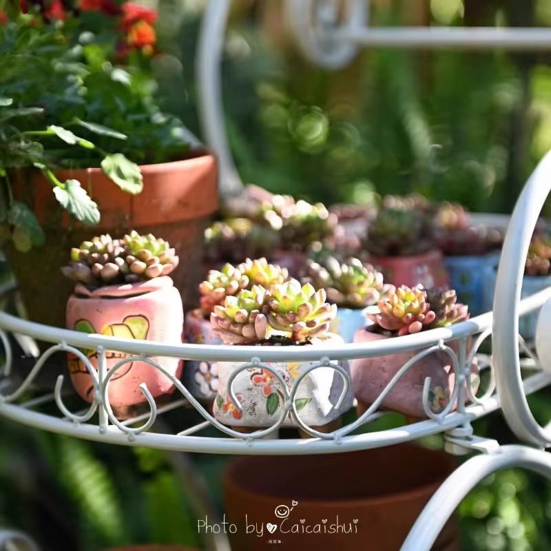 Chariot de jardin Portable en fer