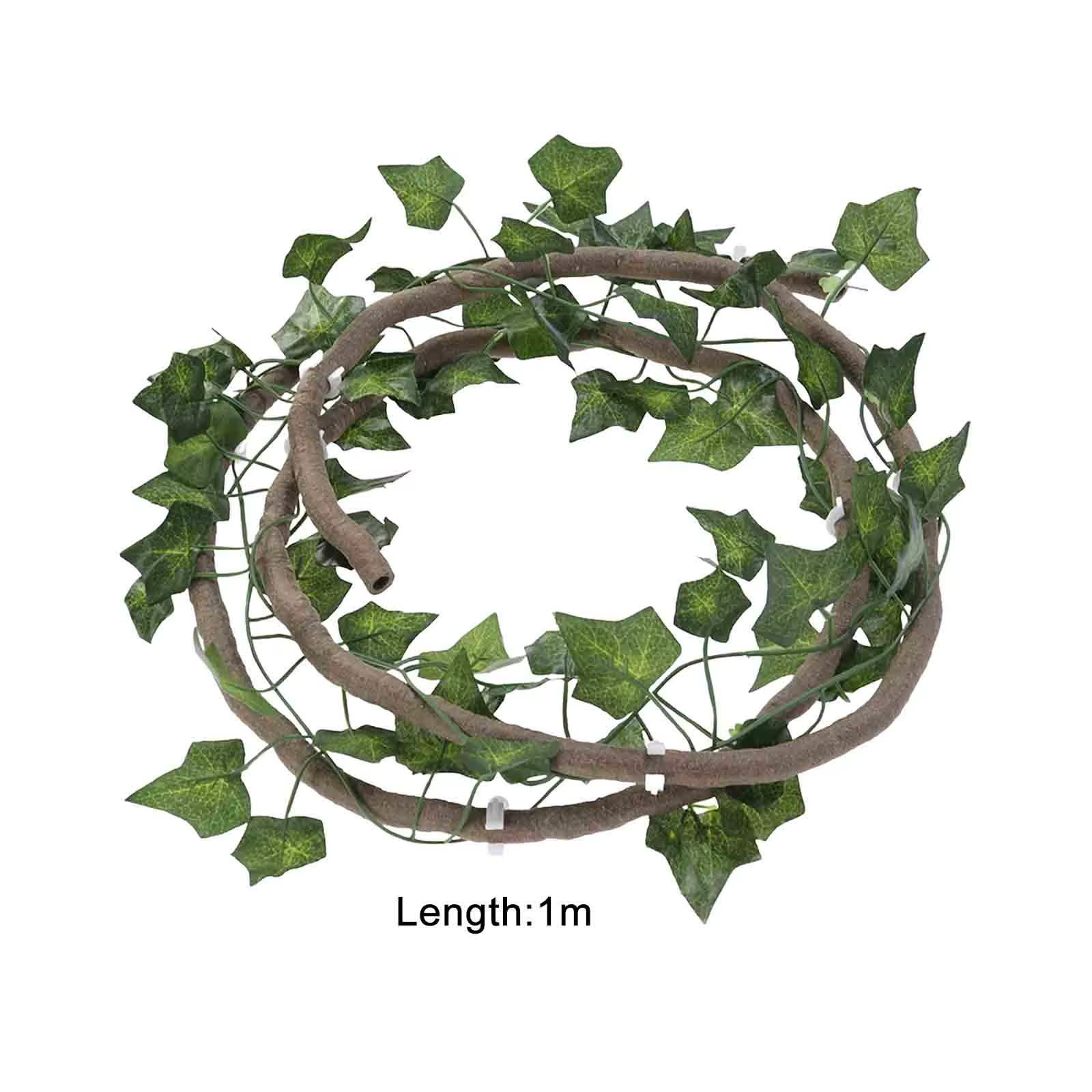 Terrarium Reptile vignes