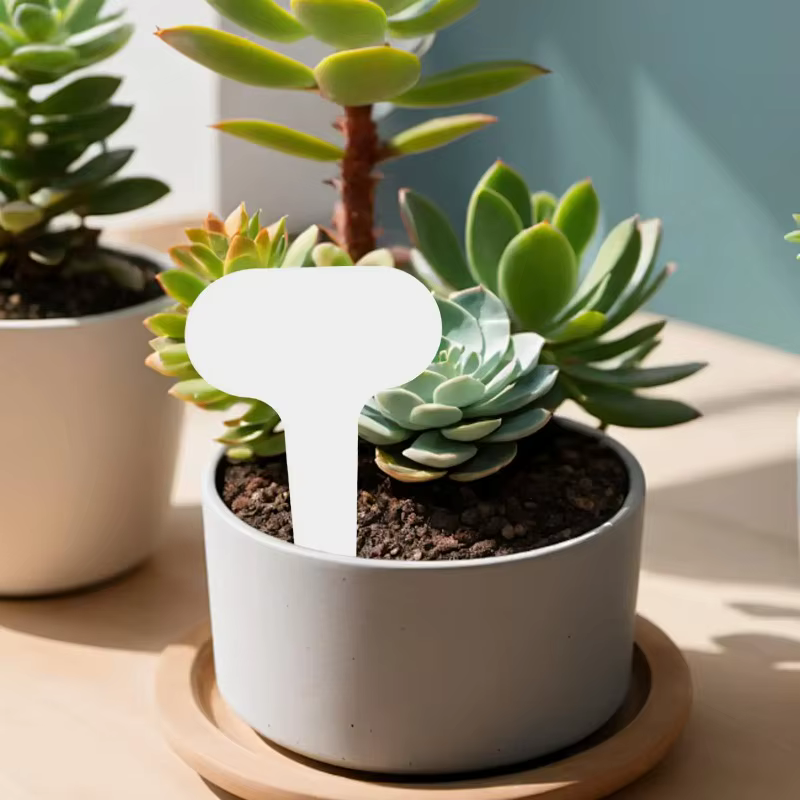 100 étiquettes de jardin en PVC pour plantes en pot
