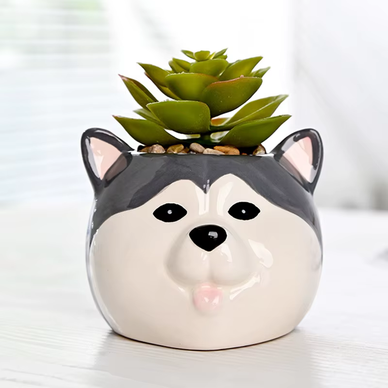Pot de fleur succulente en céramique
