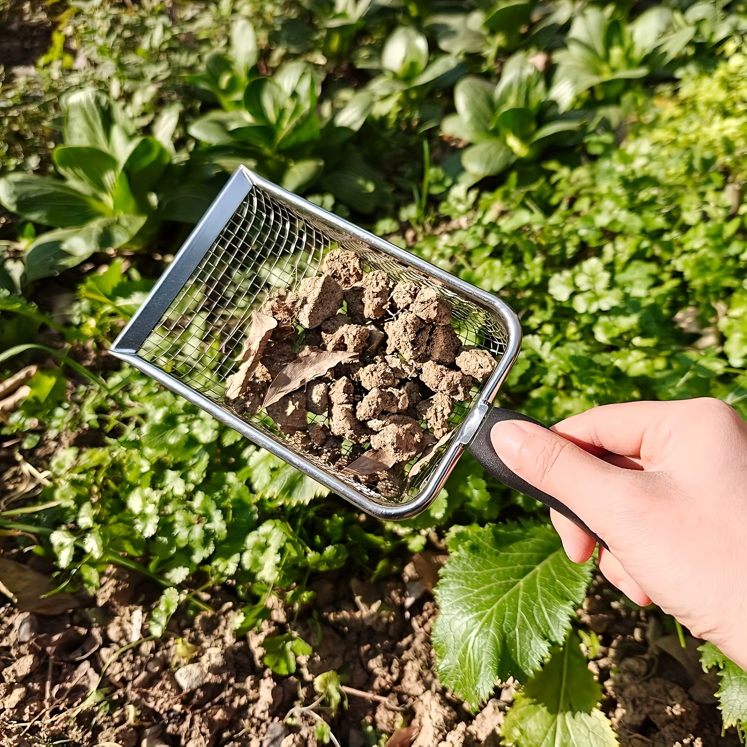 Tamis à terre horticole avec poignée