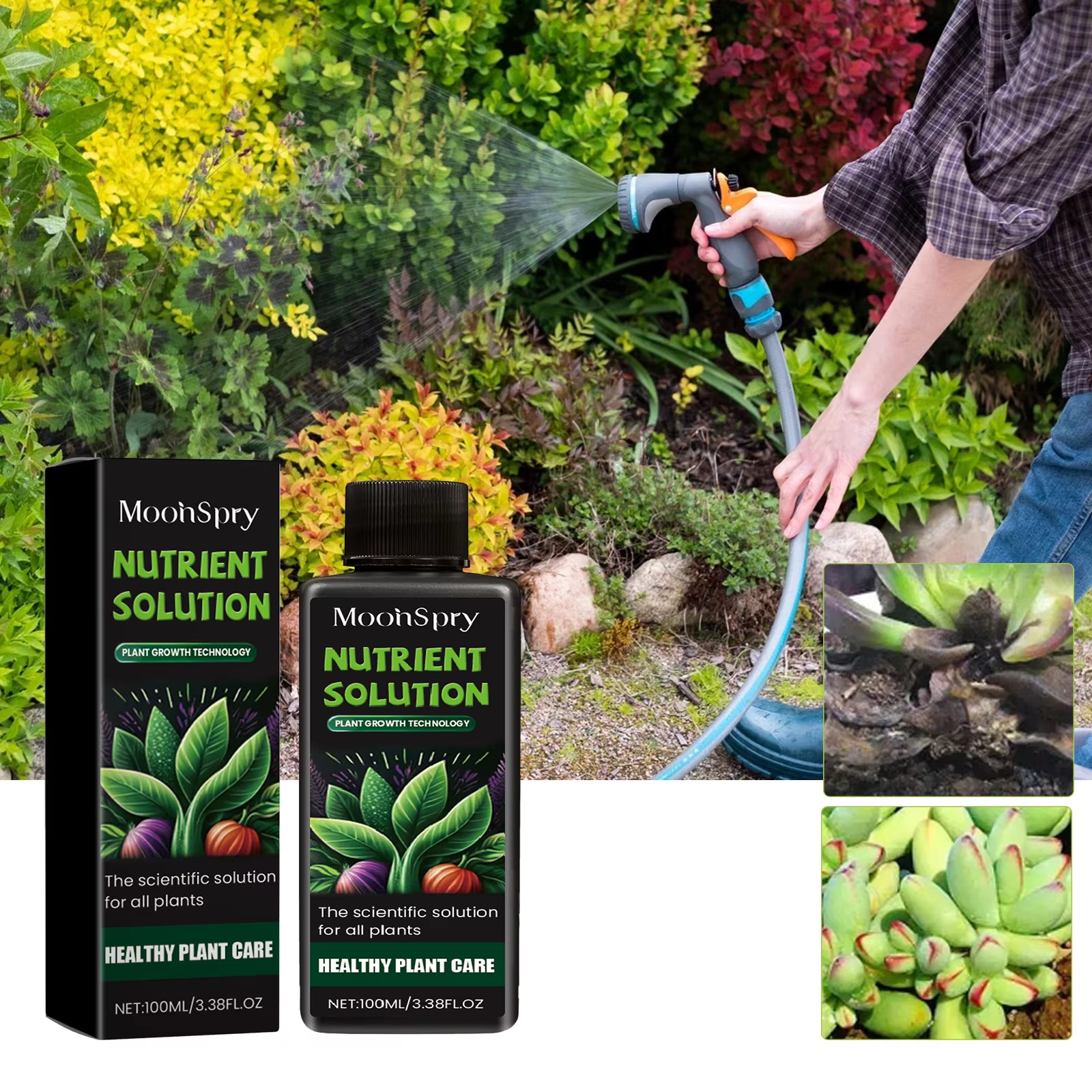 Solution de culture de plantes
