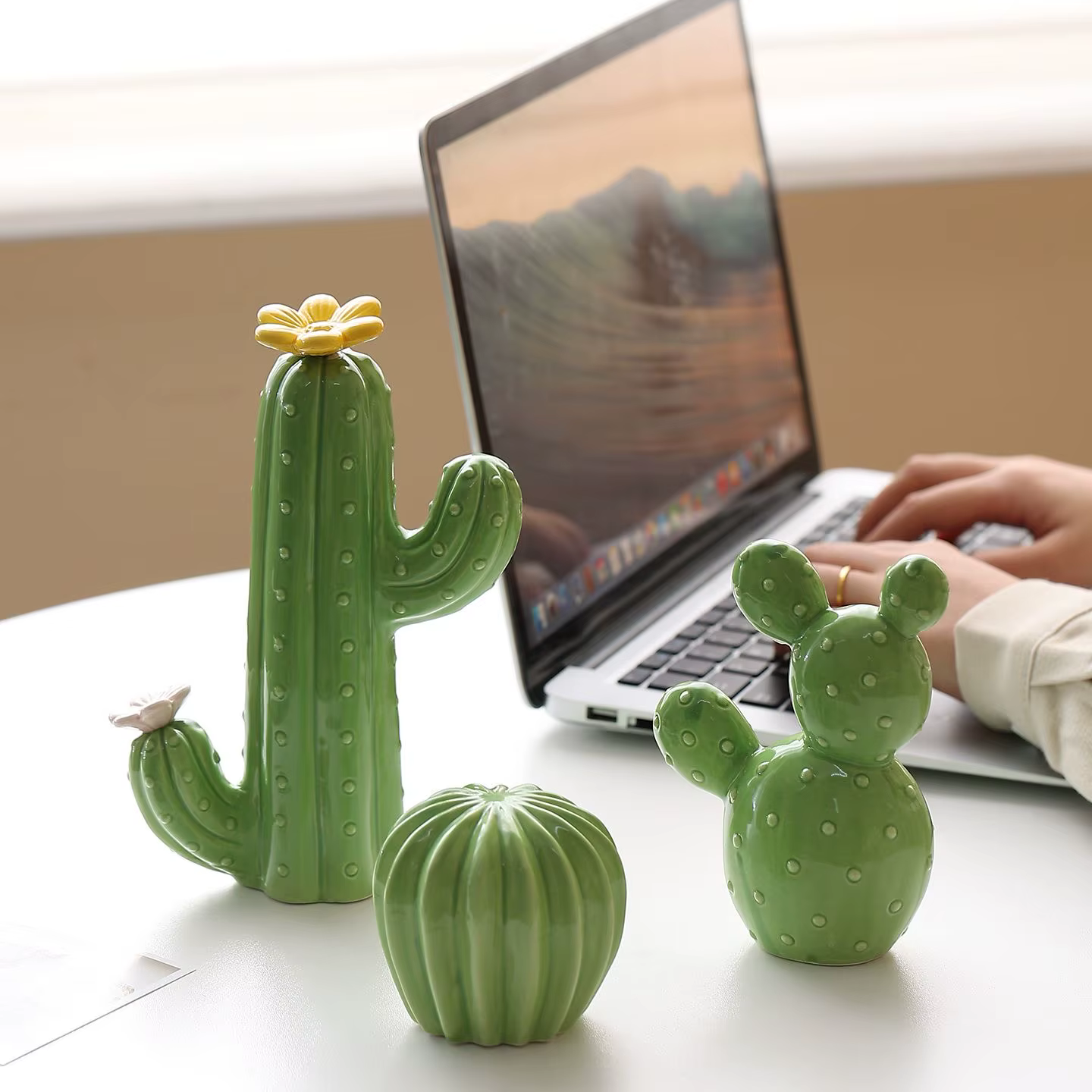 Nouvelles décorations 2026 pour la maison et le jardin : Cactus en céramique esthétique pour la décoration intérieure