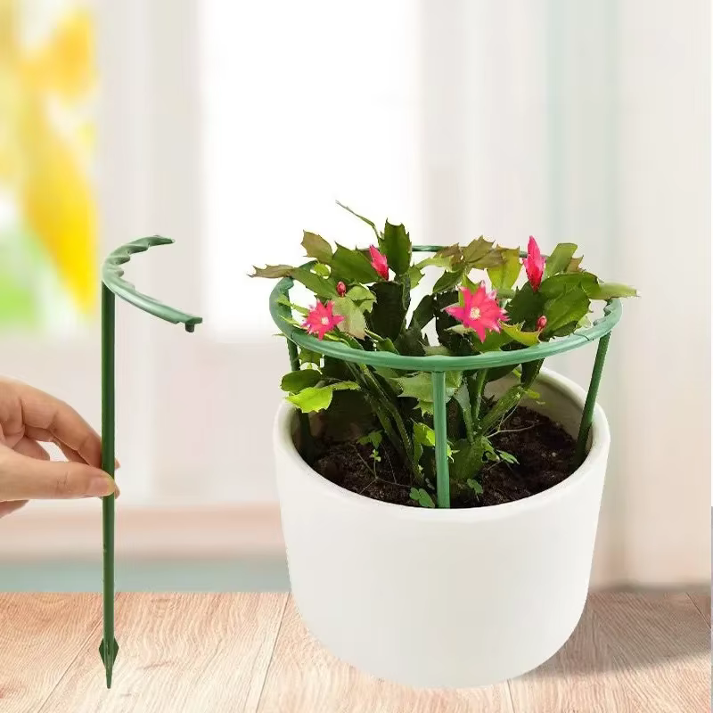 Support d'escalade pour plantes à fleurs