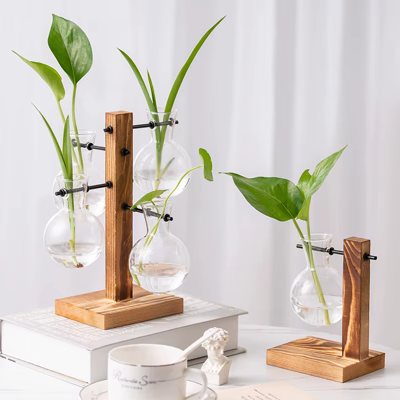 Vase à Plantes de Fleurs Vintage Terrarium