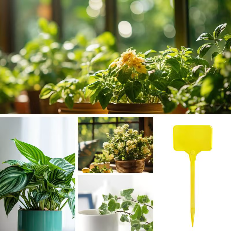 Étiquettes pour plantes de jardin 100 pièces