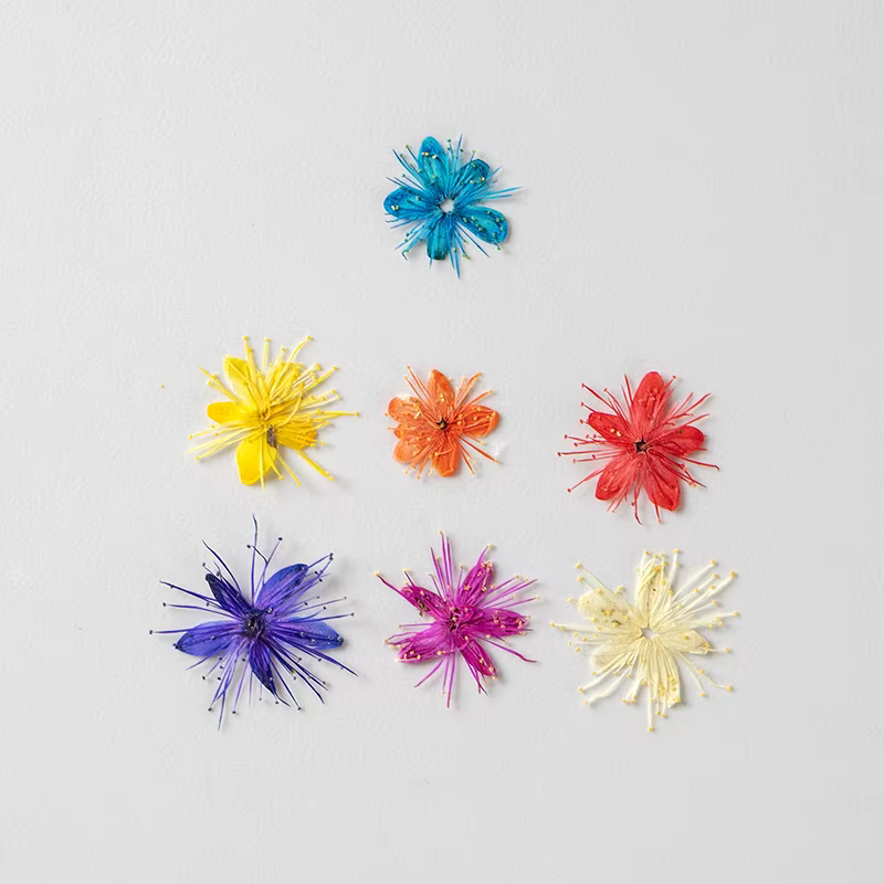 12 Pièces de Fleurs Séchées Naturelles (Symplocos Paniculata) pour DIY Marque-pages