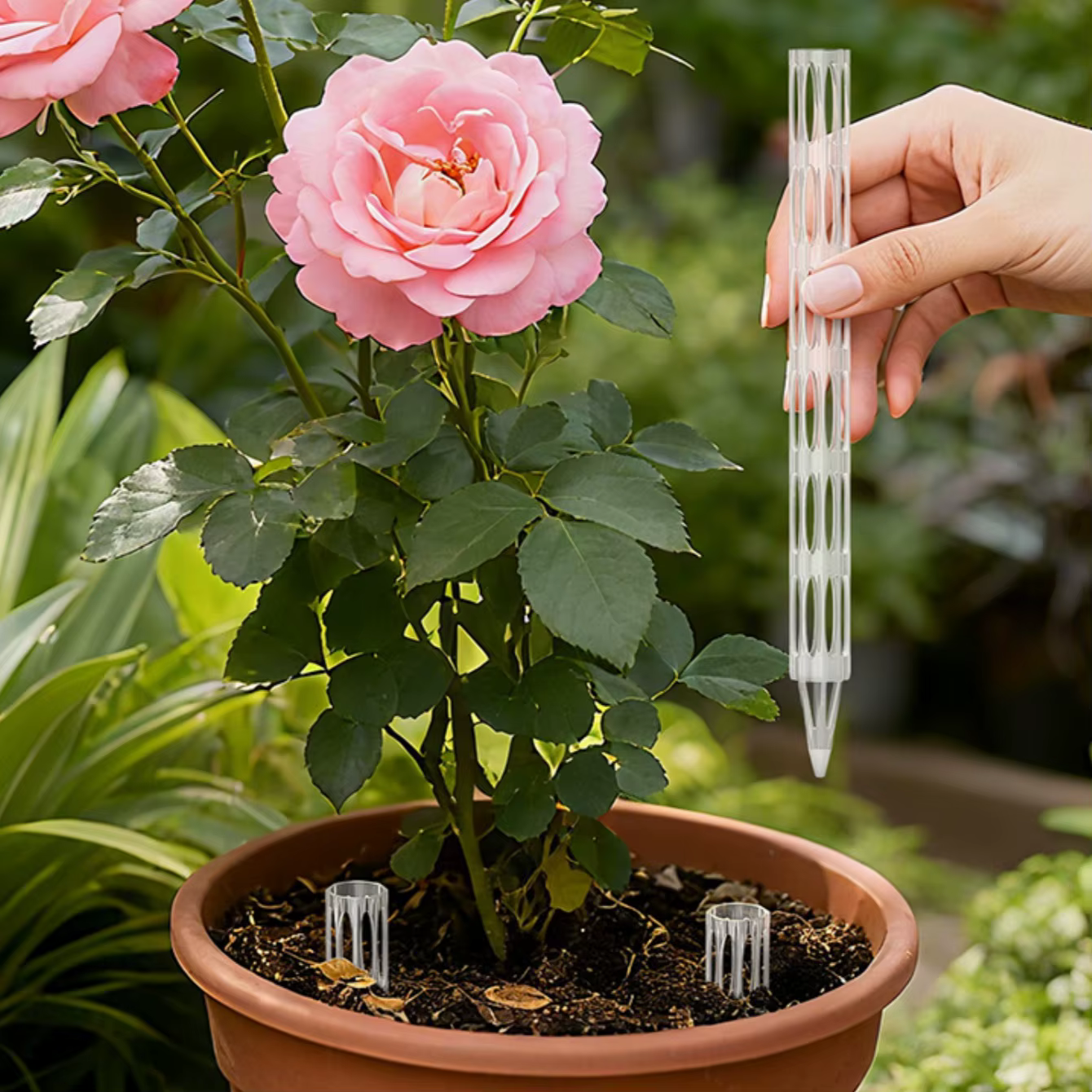 Tuyaux de drainage transparents pour empêcher la rotation des racines et améliorer