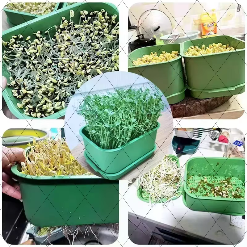 Pots de culture de légumes en plastique