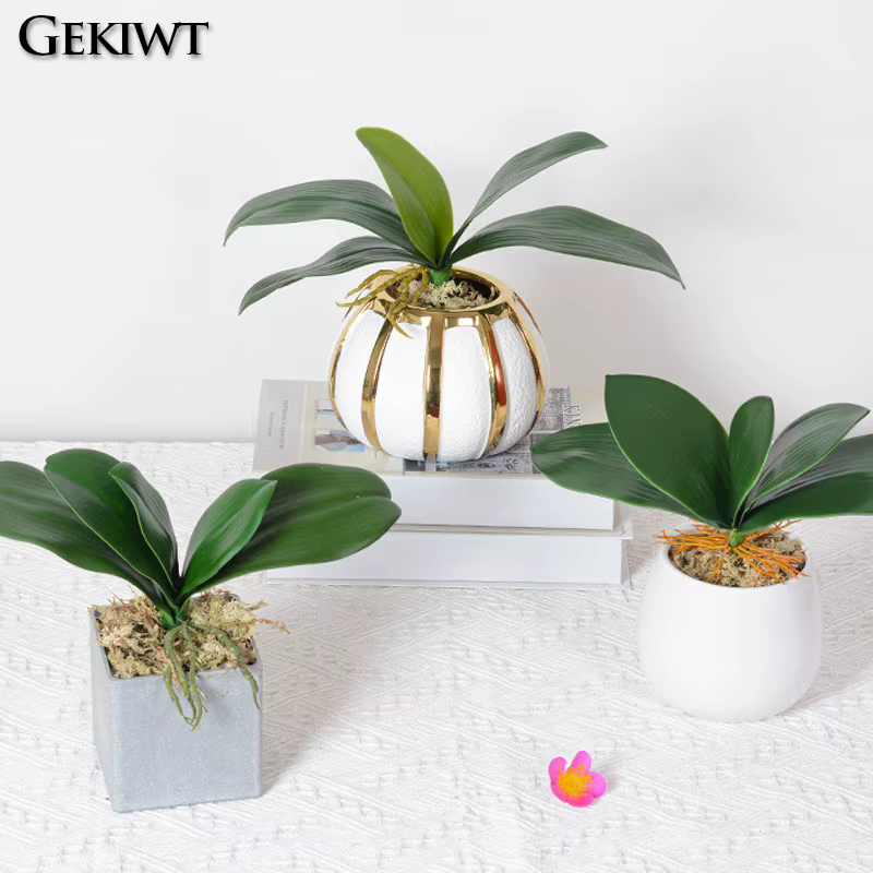 Plantes artificielles : Feuilles de Phalaenopsis