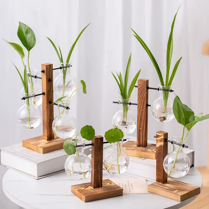 Vase à Plantes de Fleurs Vintage Terrarium