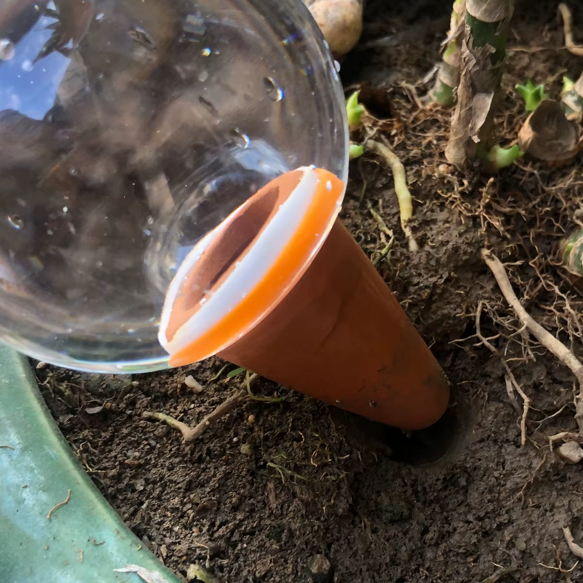 Système d'arrosage automatique pour plantes