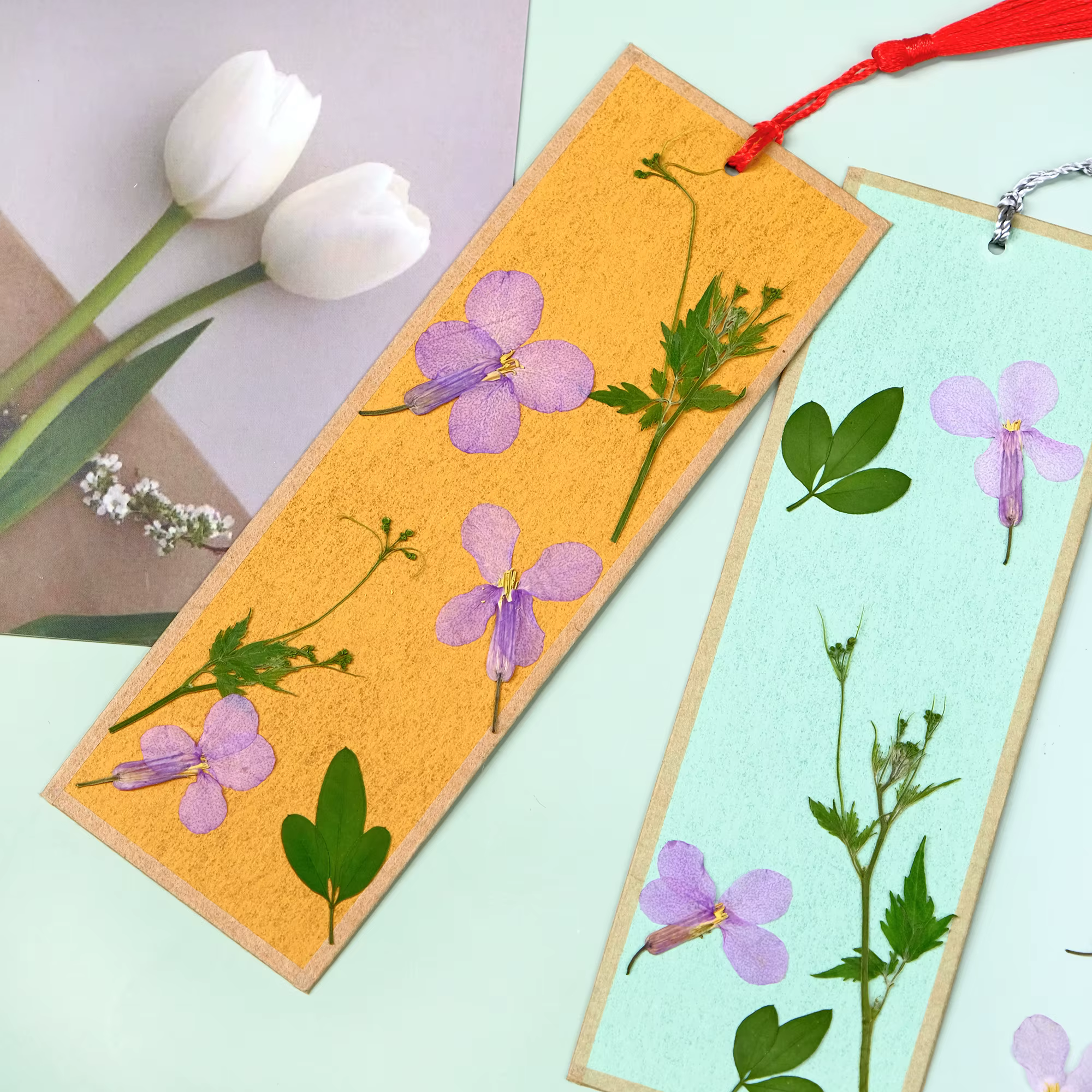 12 pièces, fleurs séchées pressées d'orchidées de février-spécimens