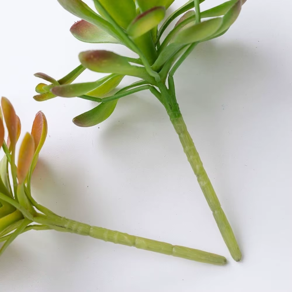 Plante succulente artificielle réaliste au toucher authentique