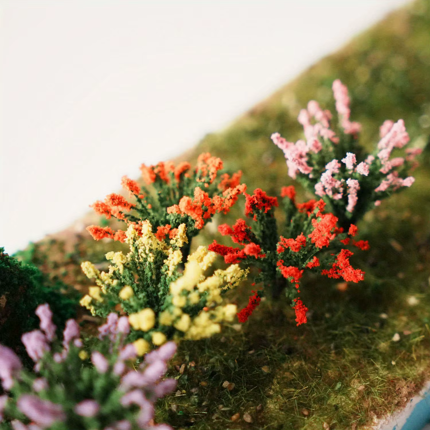 5 Pièces de Arbustes Miniatures Colorés