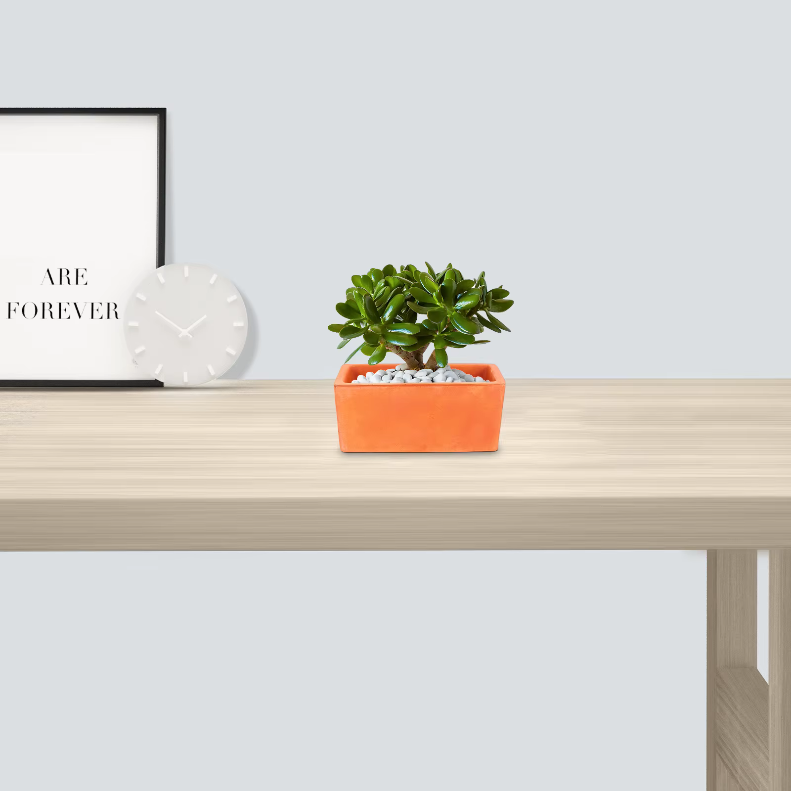 Petit pot à fleurs rectangulaire en terre cuite, pot de fleurs en terre cuite rustique avec trou de drainage, récipient en poterie pour jardin d'intérieur, bol à plantes