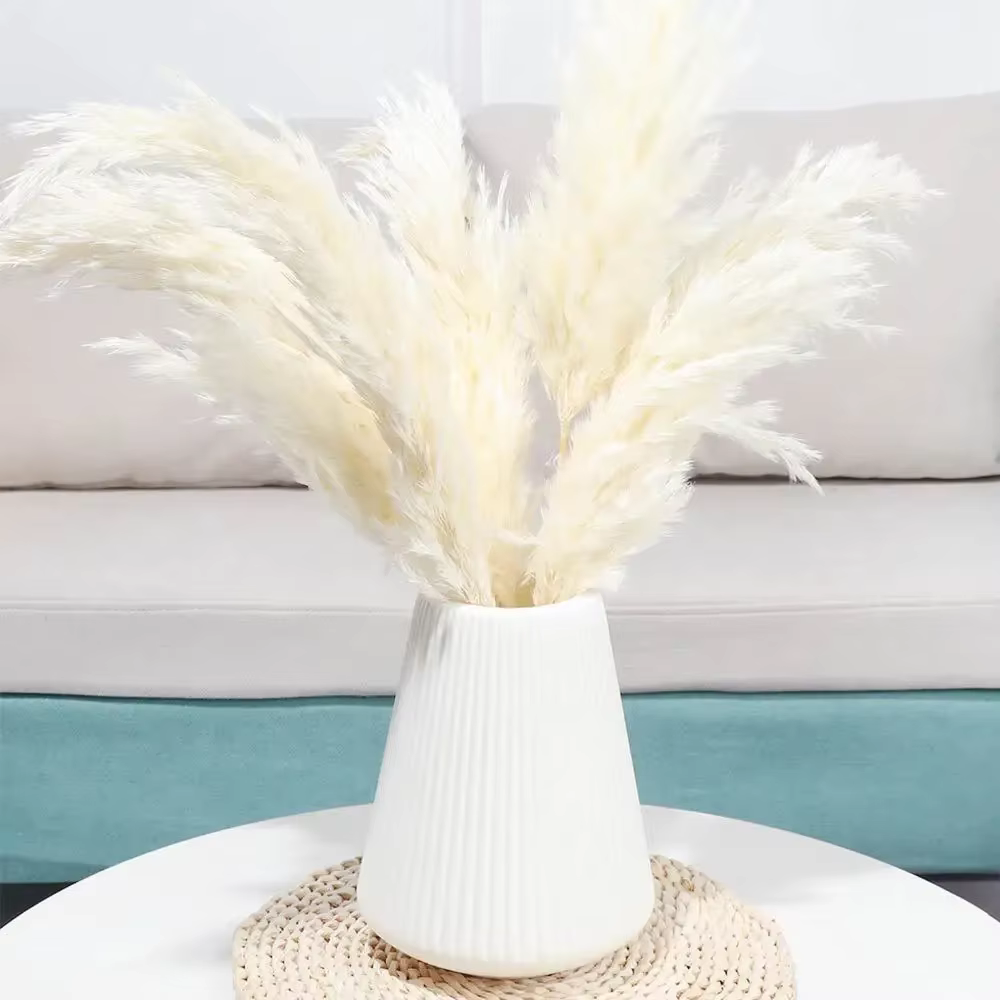 Décoration d'herbe de Pampa Boho 60cm