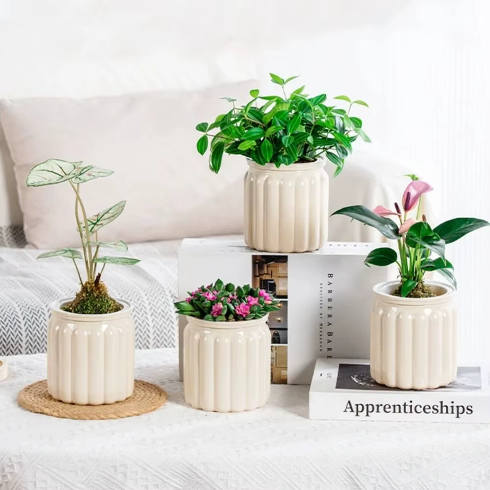 Nouveau Pot de plantes hydroponiques à arrosage automatique