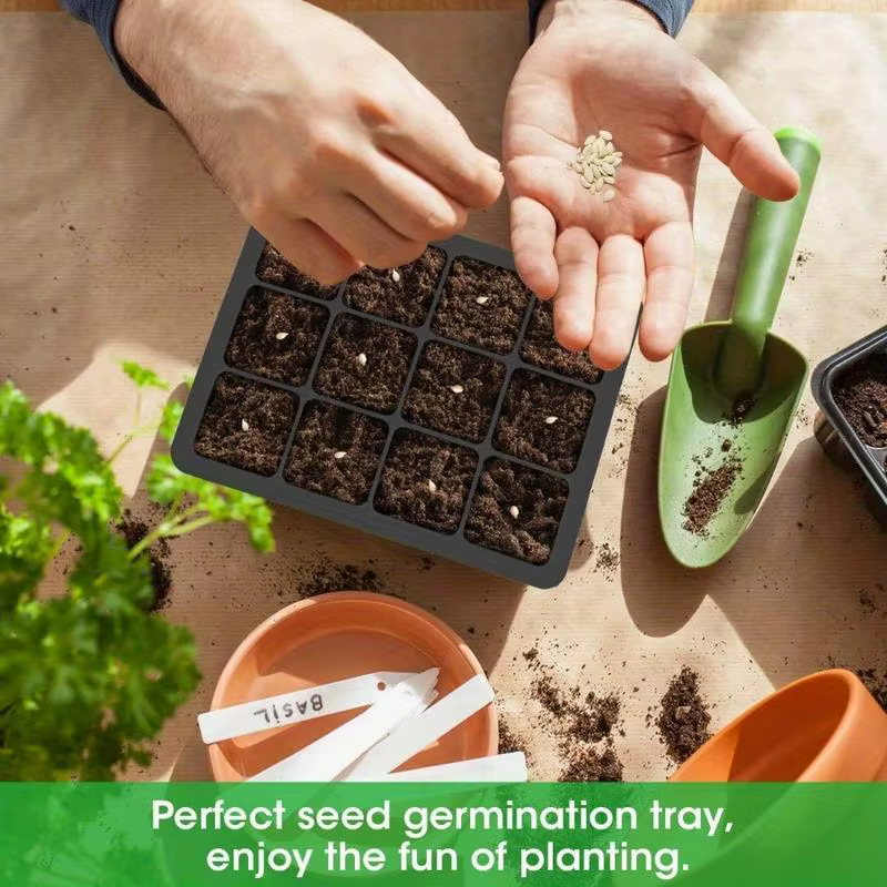 1 plateau de germination en silicone réutilisable pour la culture de semis et la pépinière