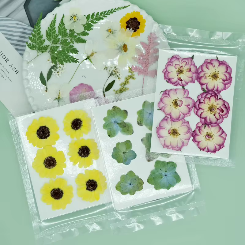 6 pièces, sac de fleurs sèches naturelles