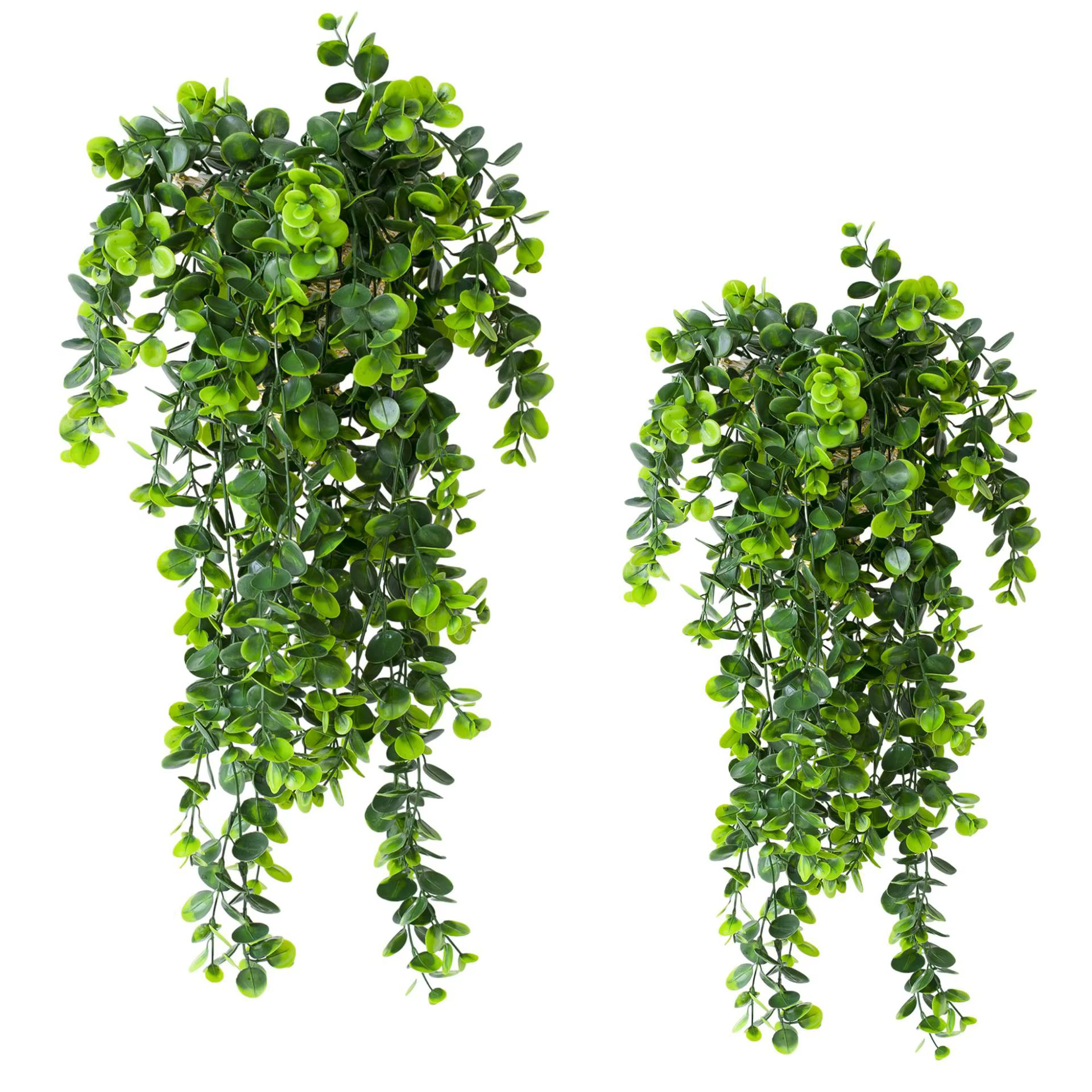 Plante verte artificielle d'eucalyptus