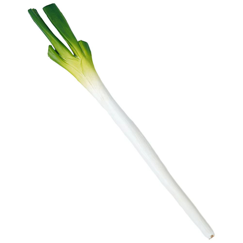 Simulation d'oignons artificiels